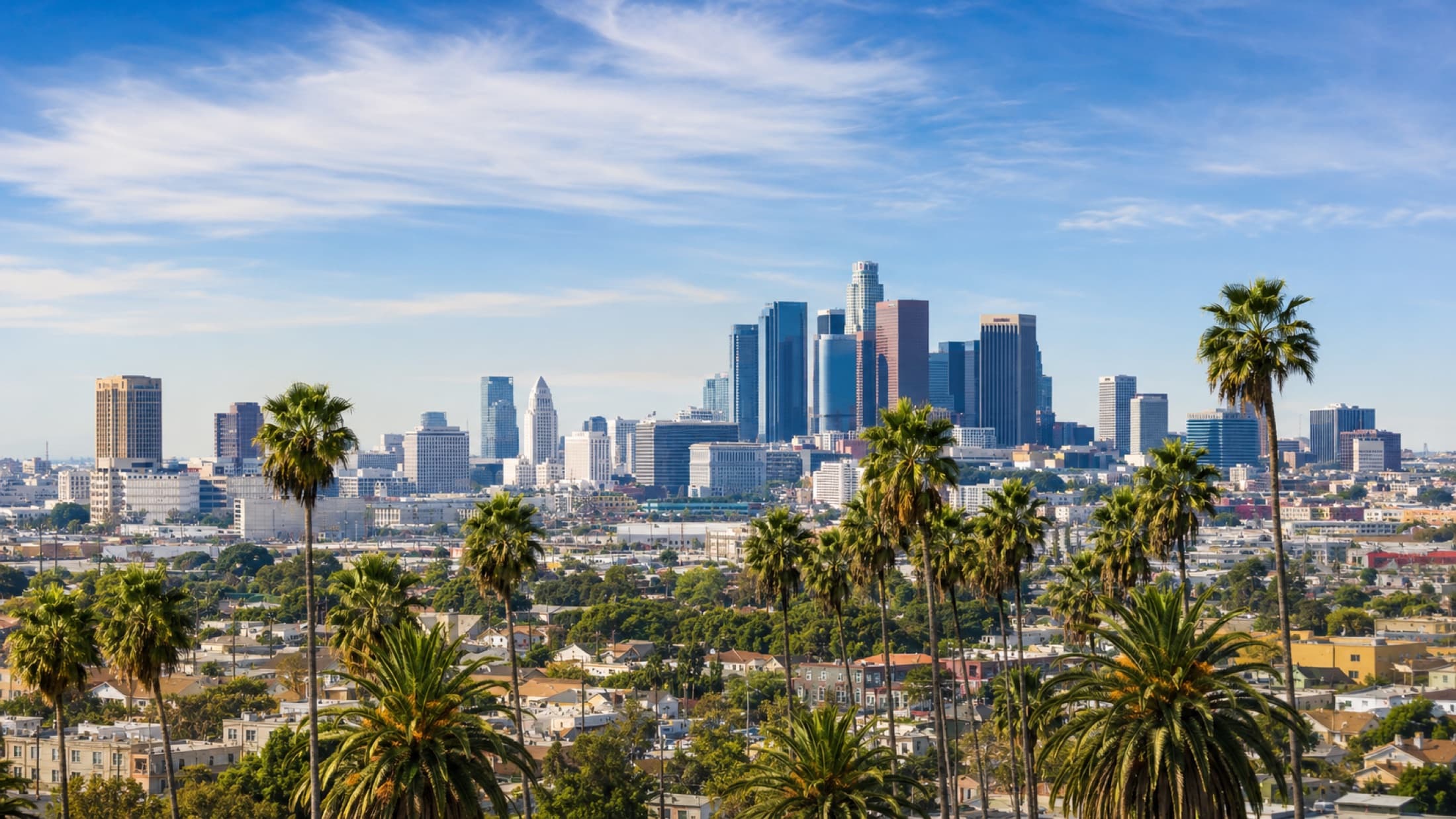 Panorama di Los Angeles con le sue palme