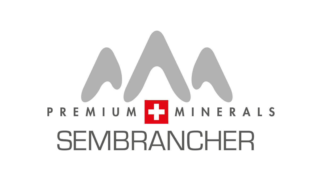 Sembrancher official partner logo